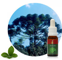 Ararybá 20 ml Ararêtama Rainforest Essences ARF01022